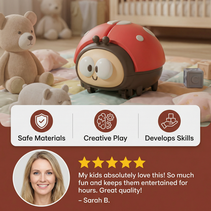 Baby Ladybug Air Toy