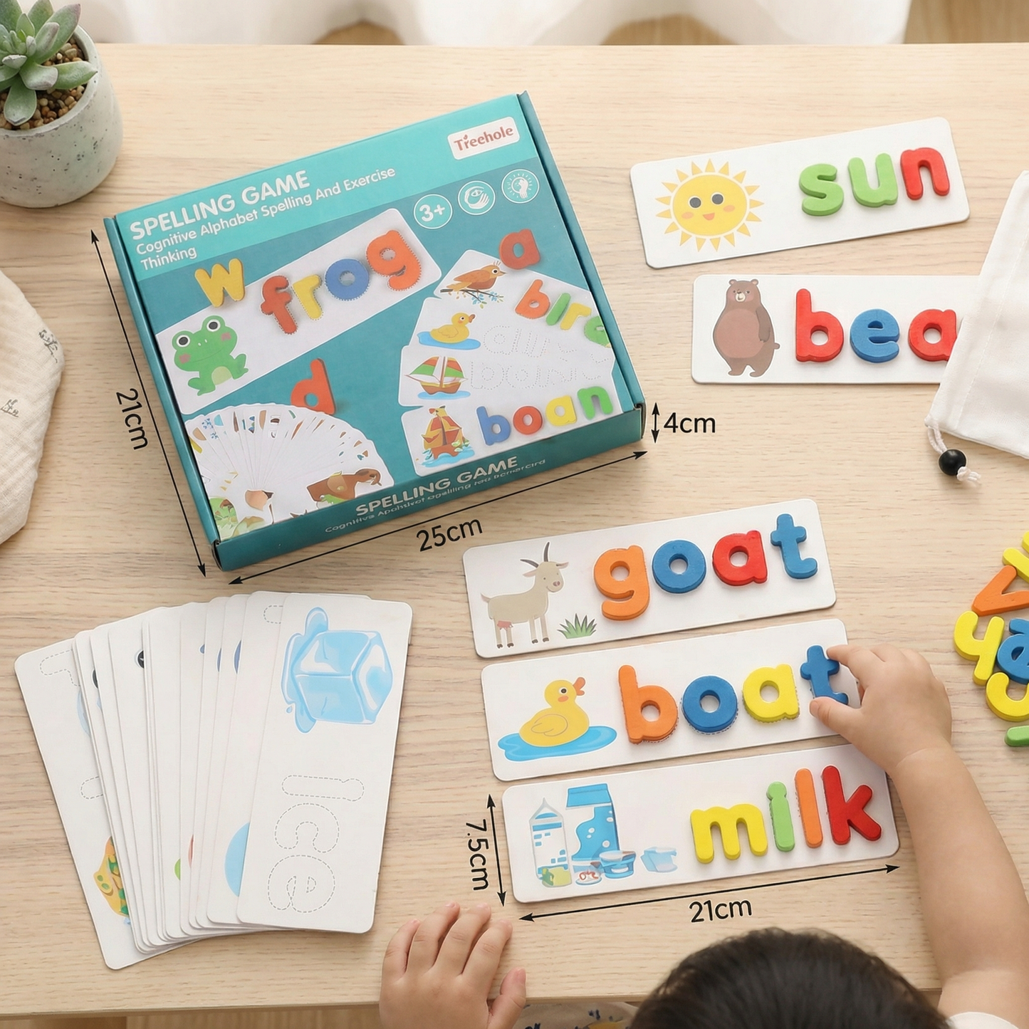 Montessori Spelling Game