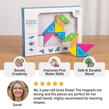 Magnetic Wooden Geometry  Puzzle Blocks